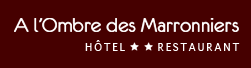 Hotel restaurant Thonon les Bains